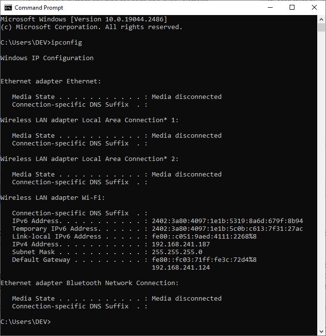 c print IP address