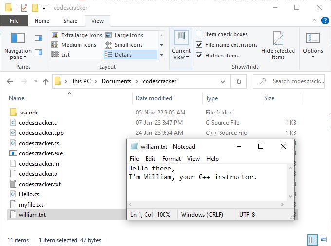 C++ file pointer random access example