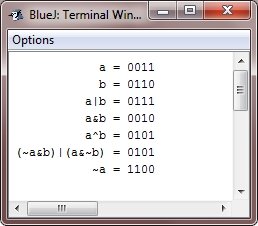 java bitwise operators