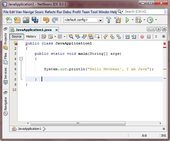 java program using netbean