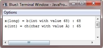 java type conversion