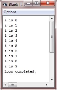 java use break to exit loop