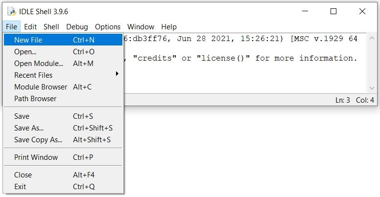 python environment setting