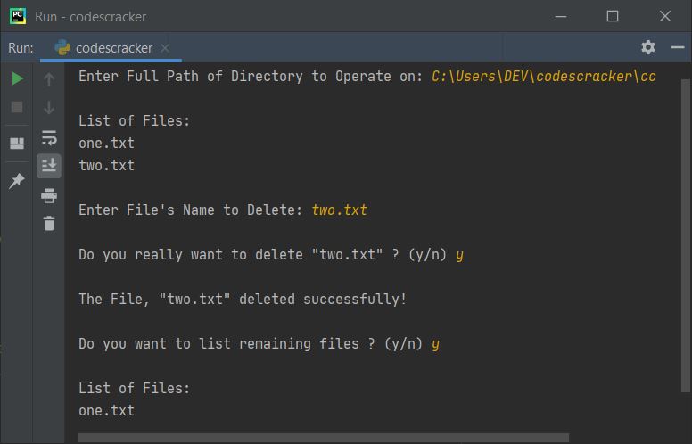 python file delete program