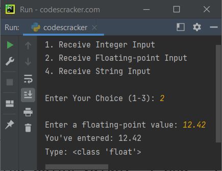 python input function program